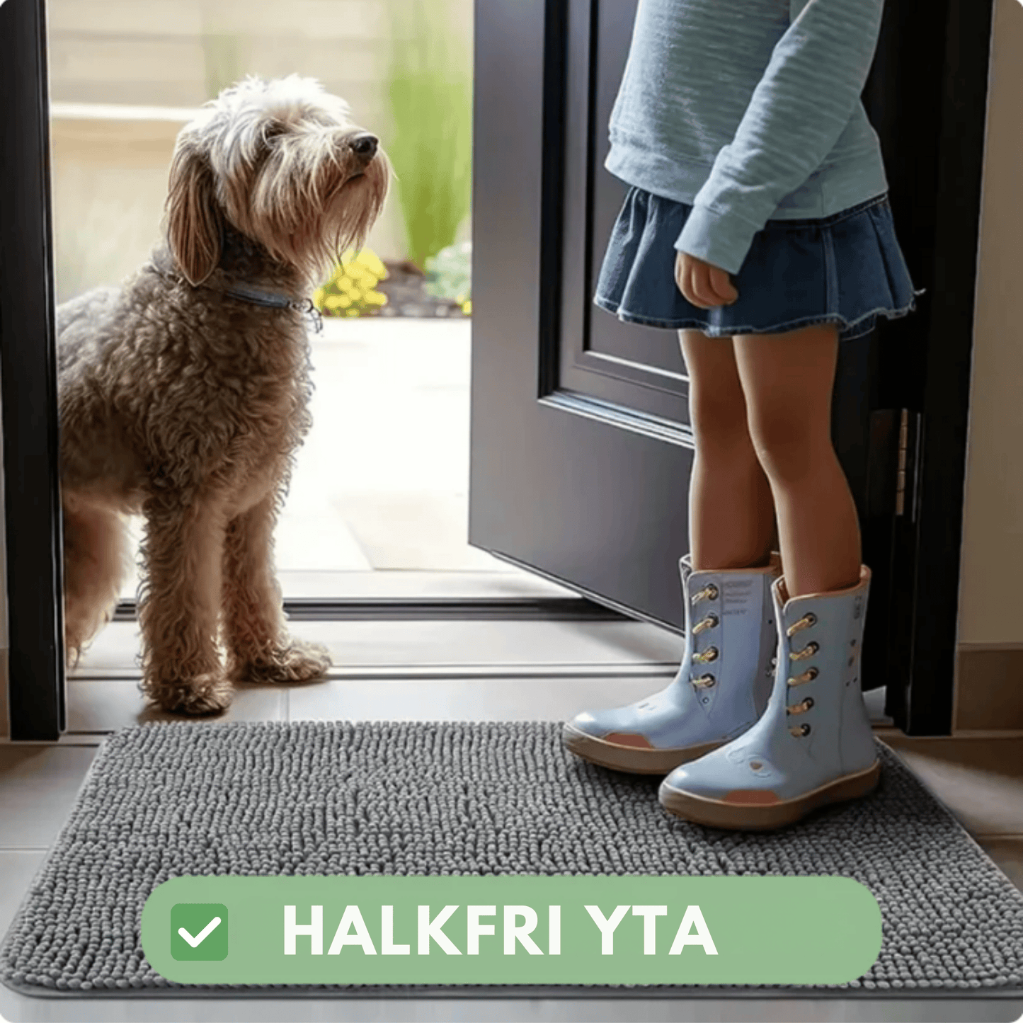 TassTorr - Din lösning mot smutsiga hundtassar